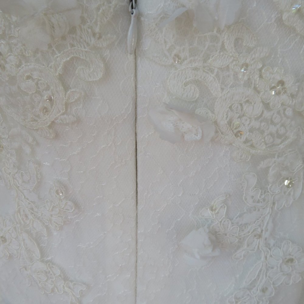 La Sposa by Pronovias Wedding Dress Rochelle - Picture 12 of 13